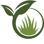 Queen Creek Landscapers