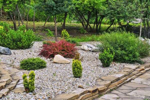 Rock Landscaping in Queen Creek