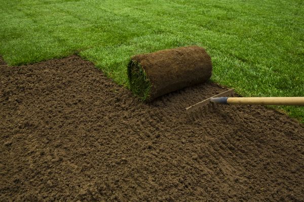 Sod Replacement