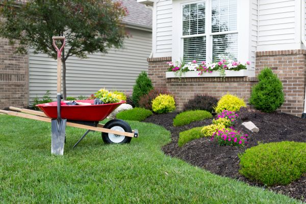 Landscape Maintenance Service in Queen Creek
