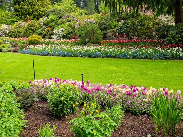 Residential Landscape Design in Queen Creek