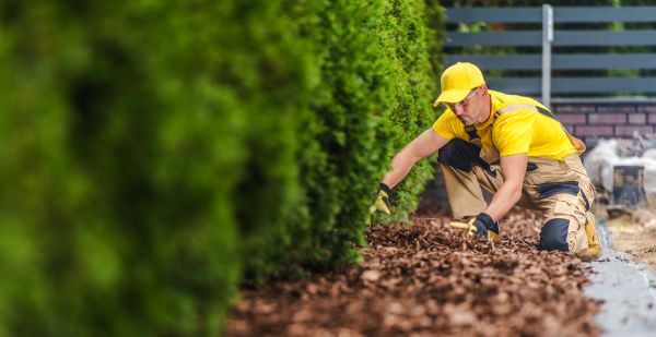 Cypress Mulch Installation in Queen Creek