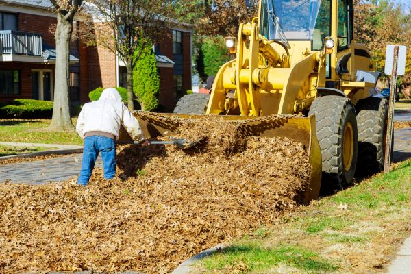 Mulch Hauling in Queen Creek