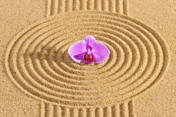 Sand Garden Landscaping in Queen Creek