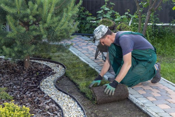 Landscaping Modification in Queen Creek