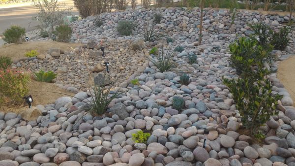 Yard Xeriscaping in Queen Creek