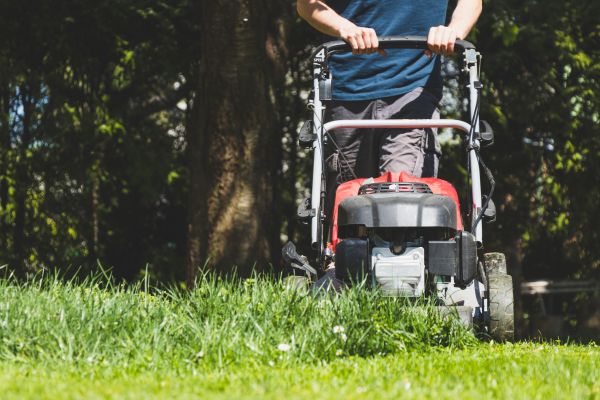 Garden Trimming Service in Queen Creek