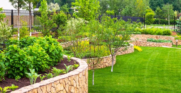 Yard Makeover Service in Queen Creek