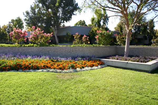 Commercial Landscape Service in Queen Creek