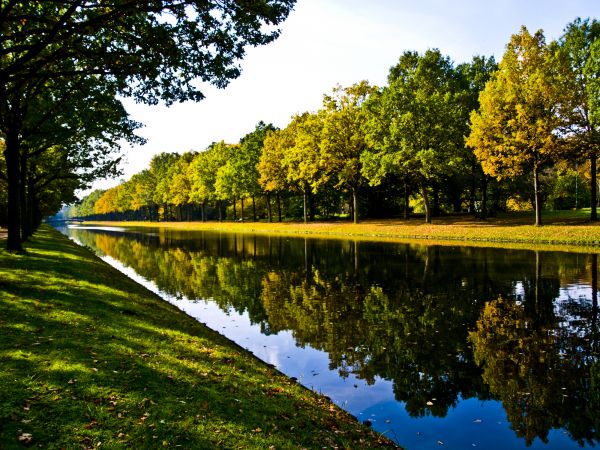 Bank Landscaping in Queen Creek