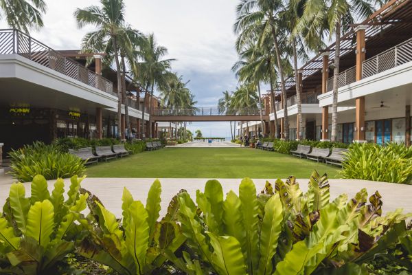 Commercial Lawn Renovation in Queen Creek