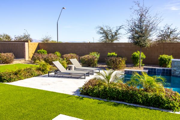 Pool Surround Landscaping