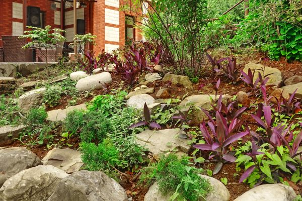 Rock Garden Landscaping in Queen Creek