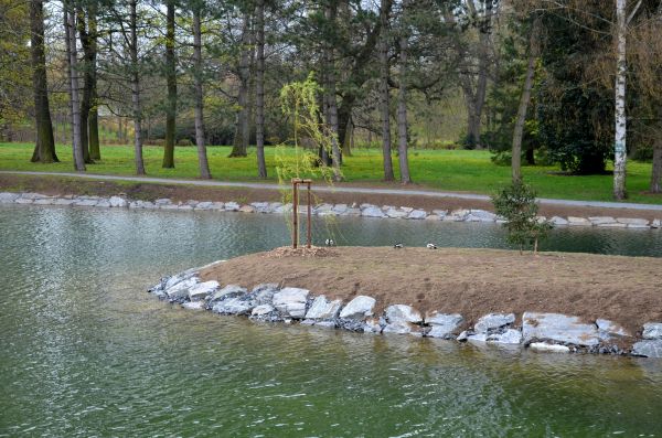Pond Landscaping Service in Queen Creek