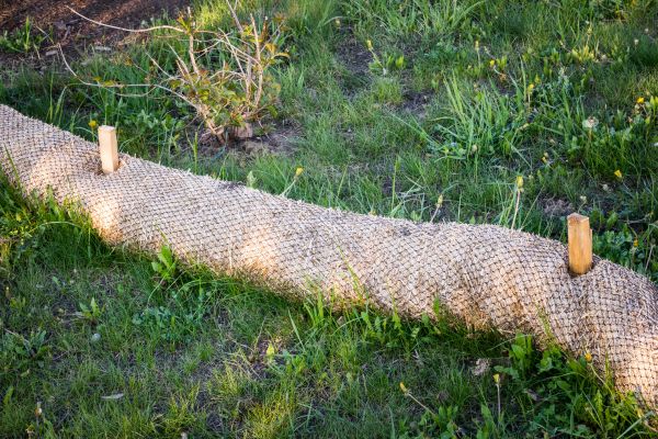 Wattle Installation in Queen Creek