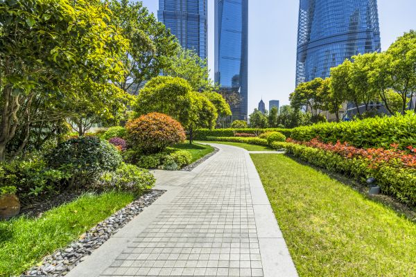 Commercial Landscaping in Queen Creek