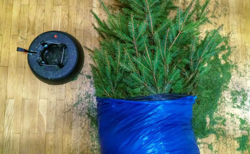 Pine Needles Installation