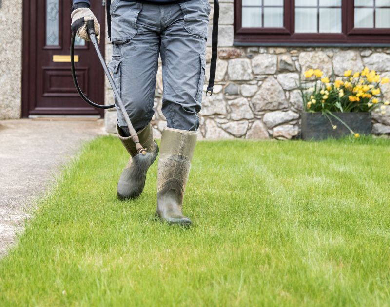 Choosing the Right Service Provider